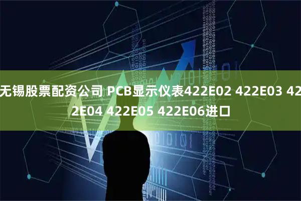 无锡股票配资公司 PCB显示仪表422E02 422E03 422E04 422E05 422E06进口