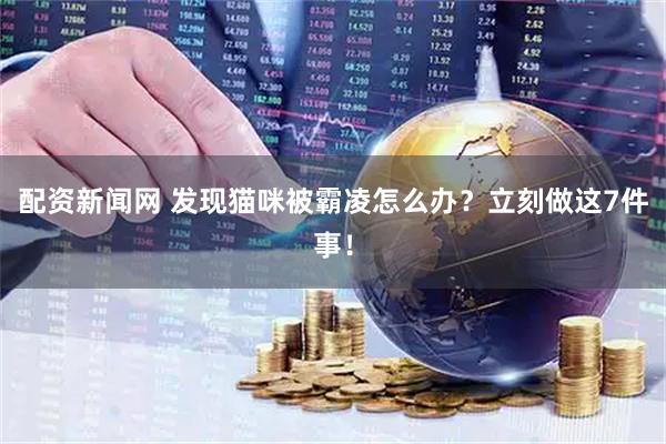 配资新闻网 发现猫咪被霸凌怎么办？立刻做这7件事！
